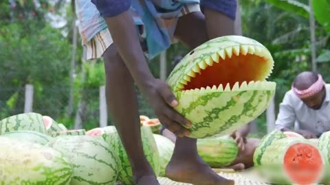 Watermelon Creative Idea 😍