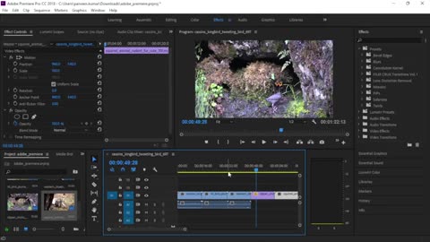20 Glitch transitions for Adobe Premiere Pro