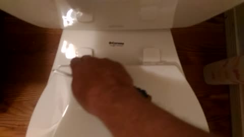 How to Replace a Toilet Seat