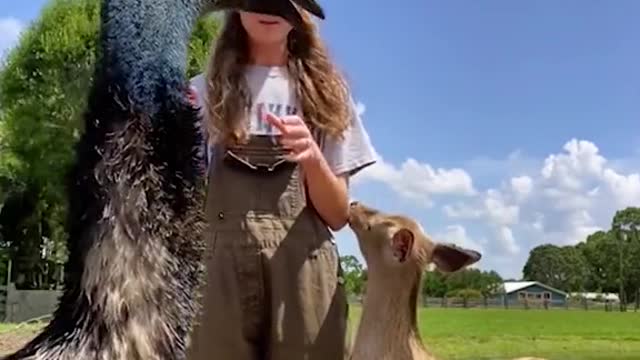 The monkey’s smile after it almost fell, so cute!