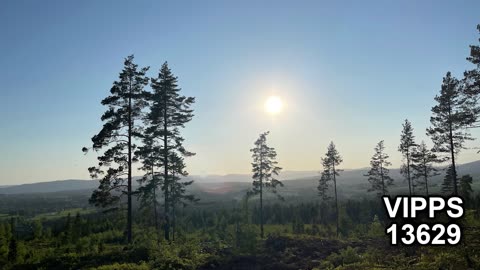 Skogpod 7. juni 2023: Oppsumering av Alf R. Jacobsens bok 3. verdenskrig ved nordkapp