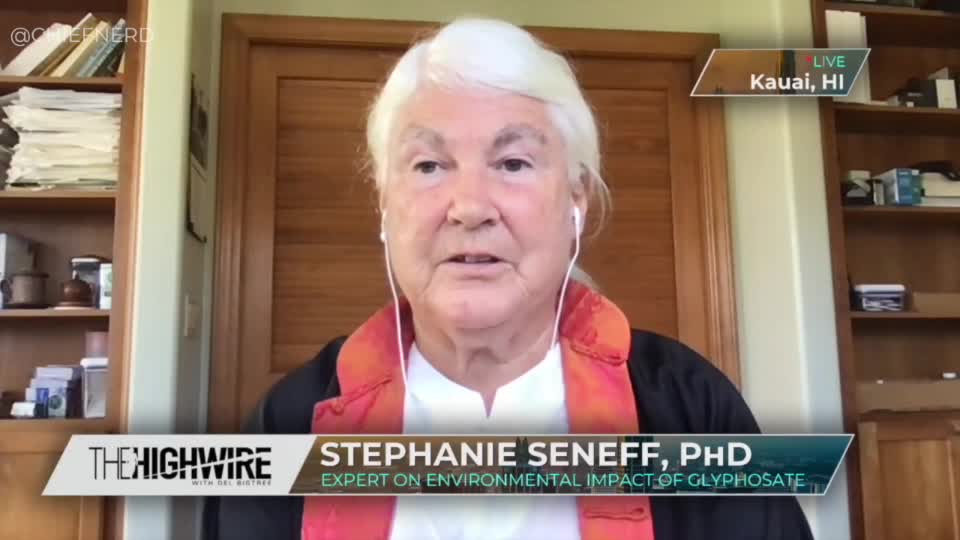 MIT Scientist Stephanie Seneff Explains How Glyphosate May Worsen COVID Outcomes