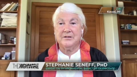 MIT Scientist Stephanie Seneff Explains How Glyphosate May Worsen COVID Outcomes