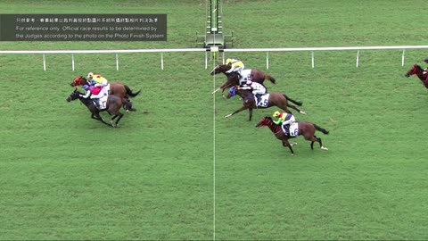 Horse_Race_2022060502_Chinese