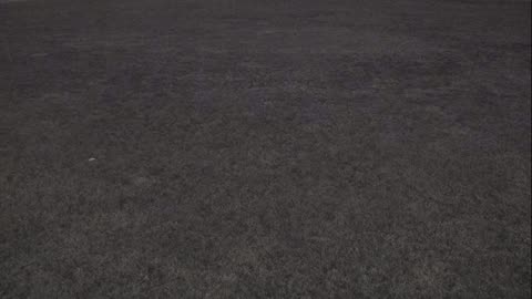 7231USCG00EastFrontHouseEgg_2021-01-05_22h42min49s747ms.mp4