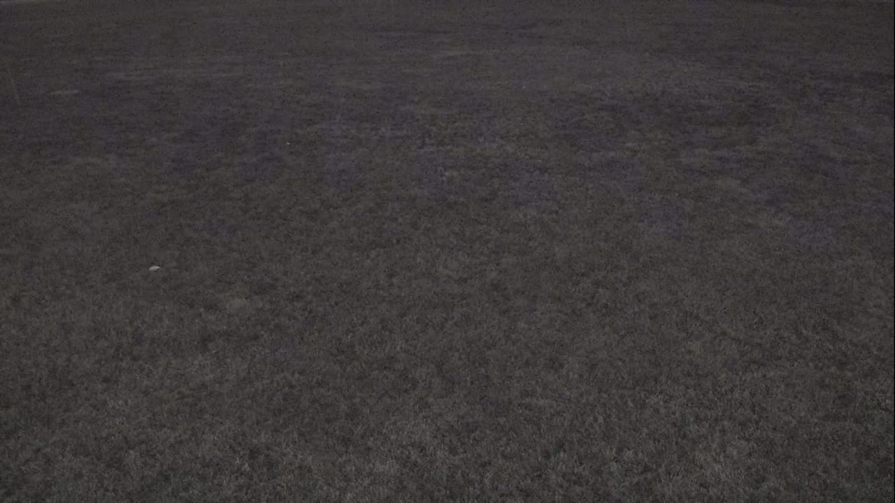 7231USCG00EastFrontHouseEgg_2021-01-05_22h42min49s747ms.mp4