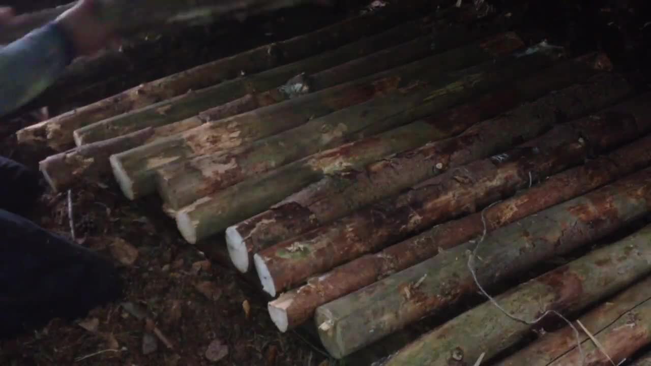 Bushcraft: overnachting in het bos | Outdoor Survival