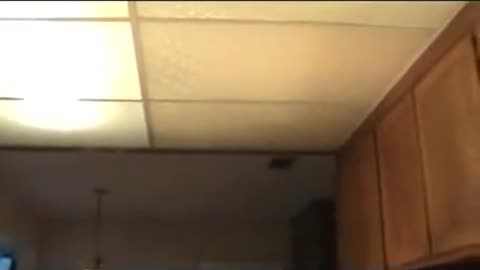 How to Take Down Kitchen Drop Down Ceiling for Dummies