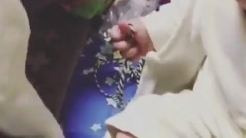 Cute Babies playing with Pets #shorts