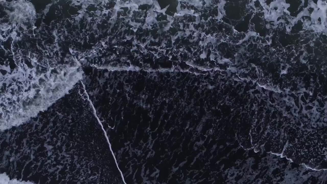 Life on Our Planet Türkçe