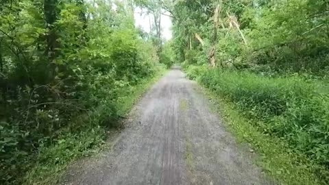 Storm Troopers and the Old Path