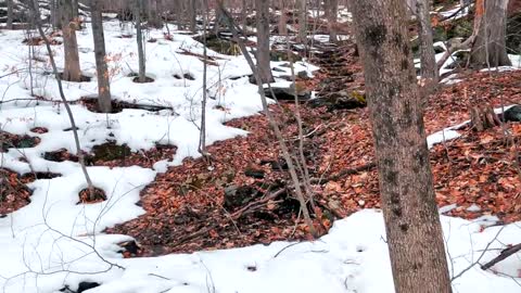 Peaceful Spring Moments in the Berkshire Mountains-9