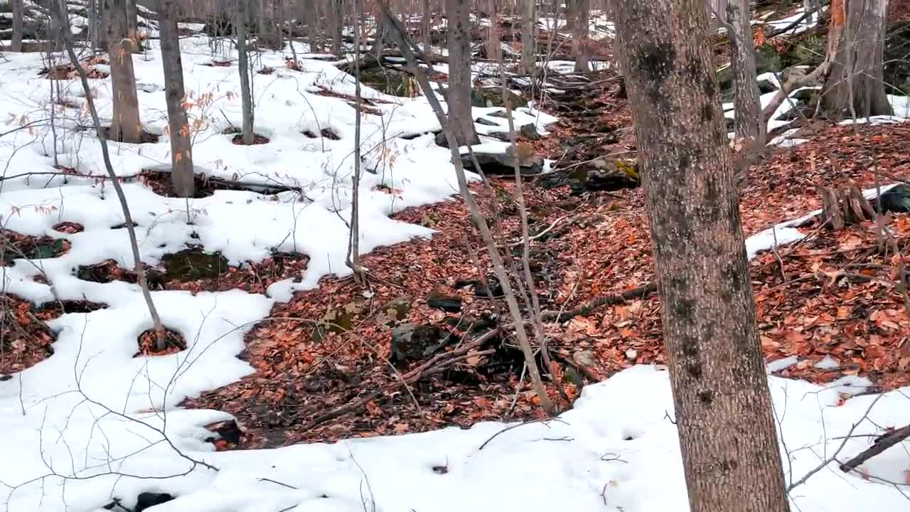 Peaceful Spring Moments in the Berkshire Mountains-9