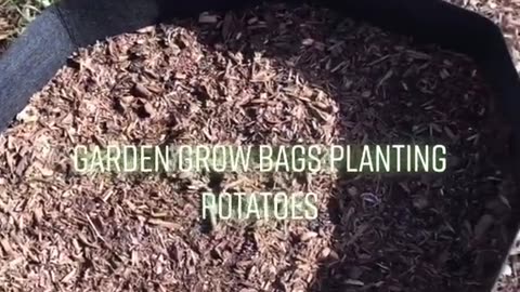 Grow Bags for Potatoes