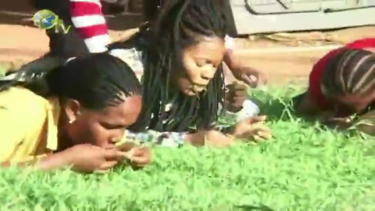 S.African Preacher Tells His Congregation to Eat Grass