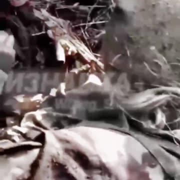 ALL for Satanic Jews and Zionist