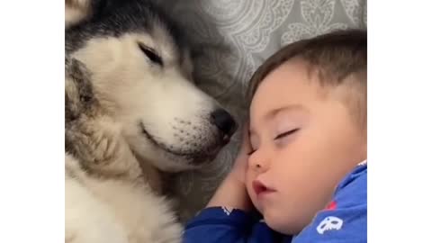 Husky and kid a little short clip