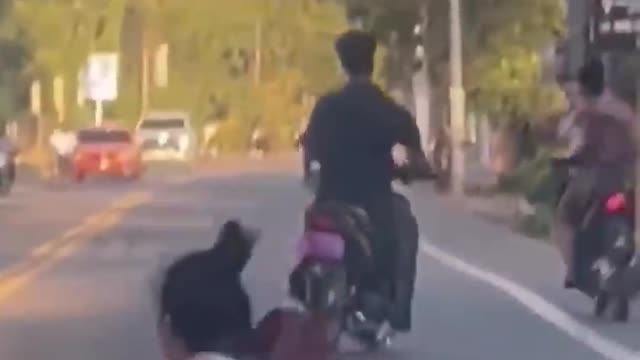 Entah siapa yang salah ku tak tau