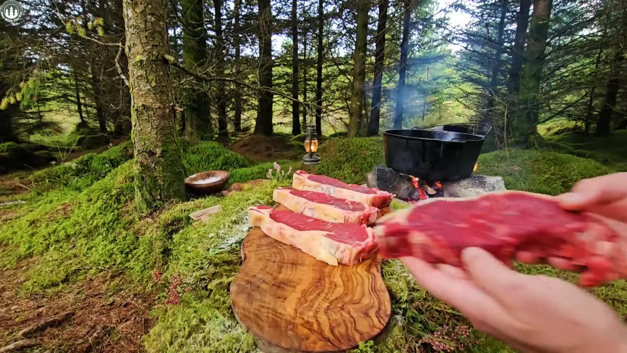 steak fries in tne forest