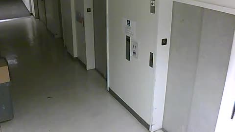 3904PSQB06FreightLobbyRear_2021-01-05_03h00min00s650ms.mp4