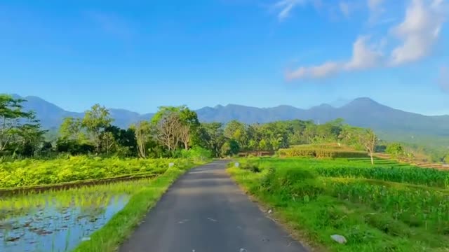 beautiful scenic spot on a deserted highway with green scenery