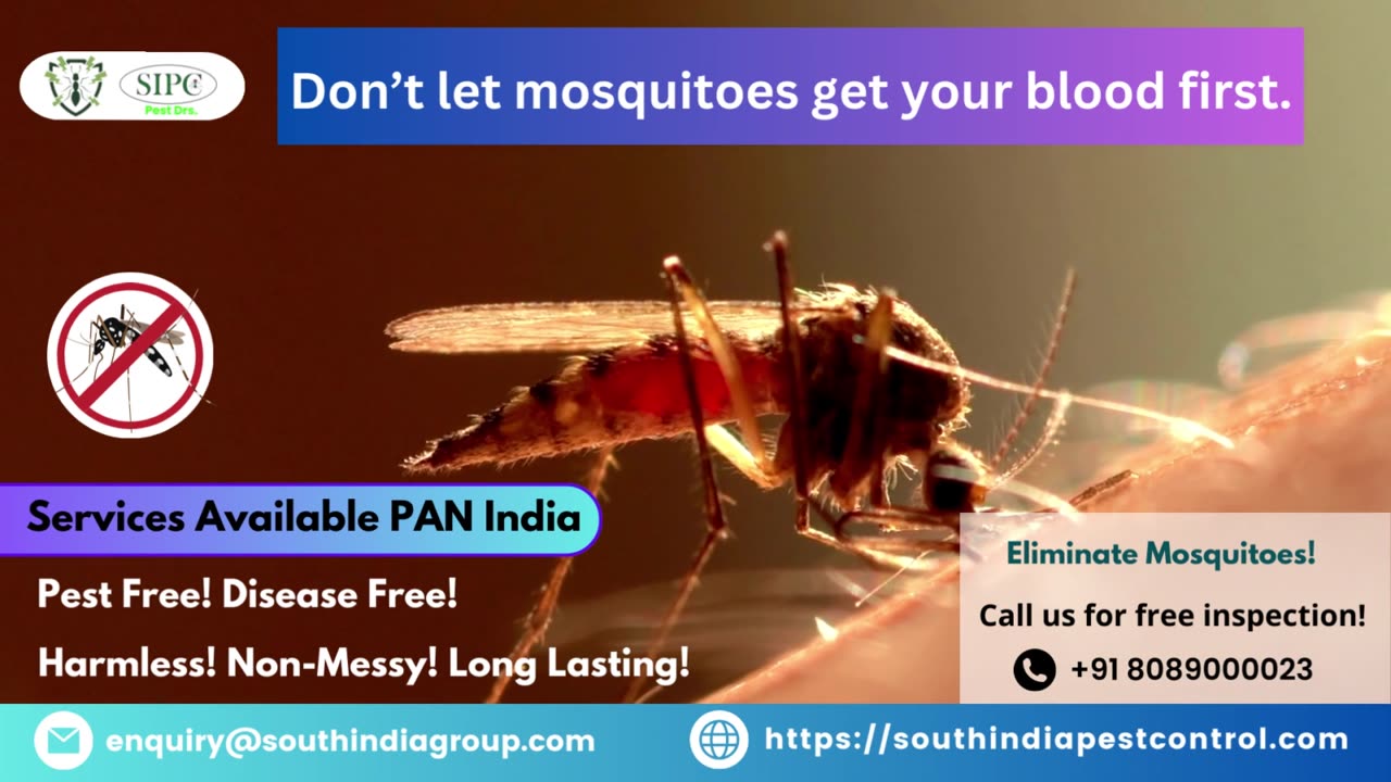 Mosquito Control Delhi