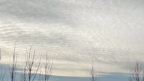 Chemtrails 12/8/24 eleven