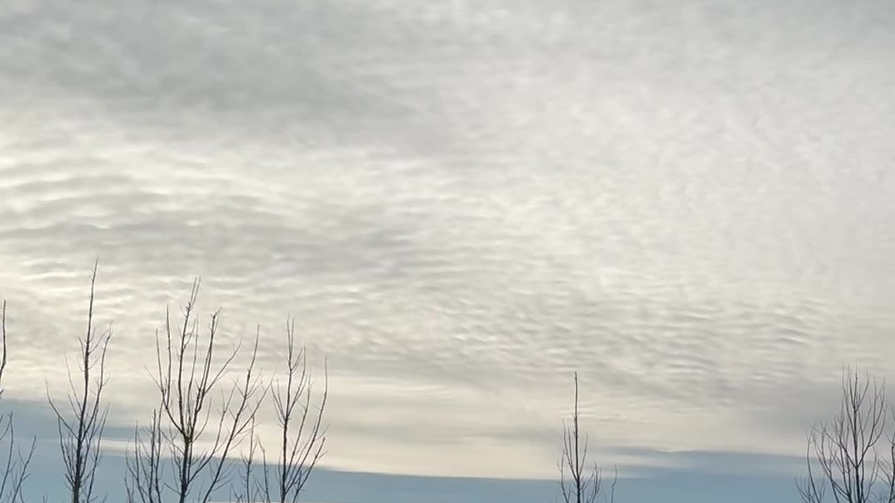 Chemtrails 12/8/24 eleven