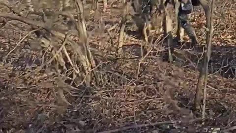 New Ukrainian Combat Footage