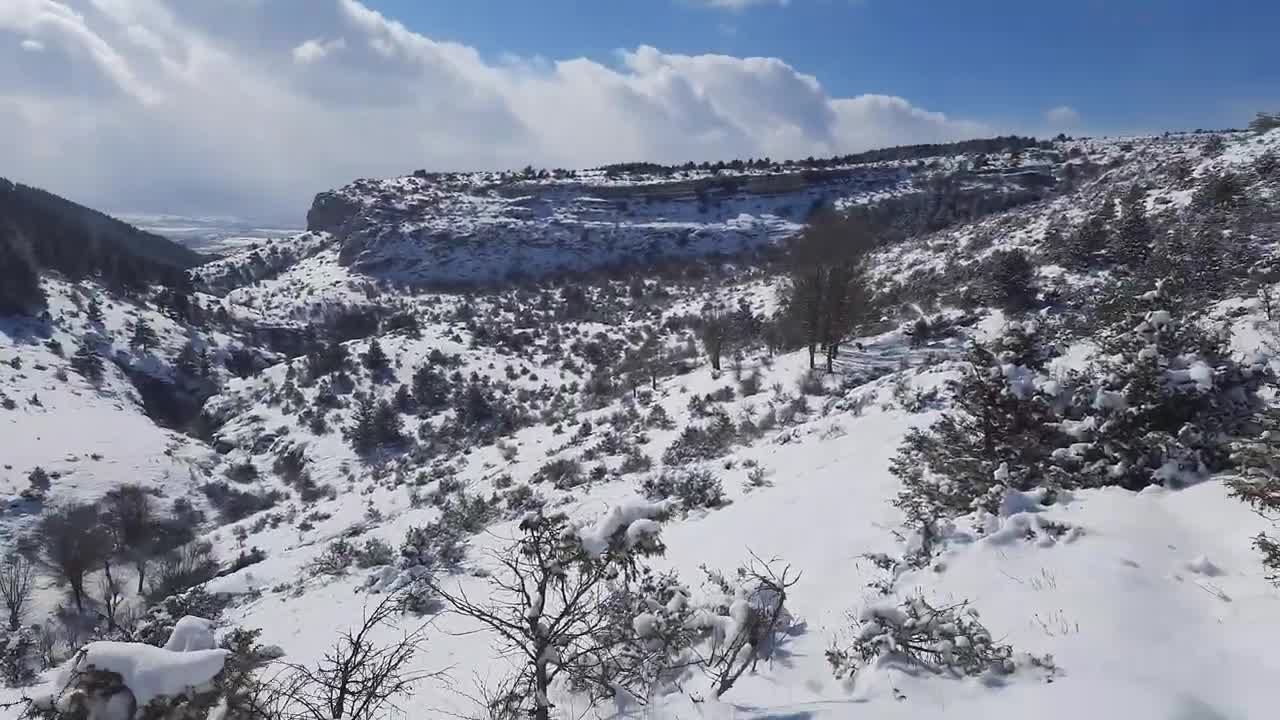 KAR MANZARASI! TÜRK ÇOBAN KÖPEĞİMLE KAR GEZİSİ