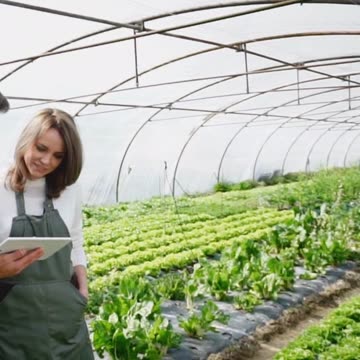 Unlocking The Secrets Of Sustainable Agriculture: Soil, Water, And Beyond