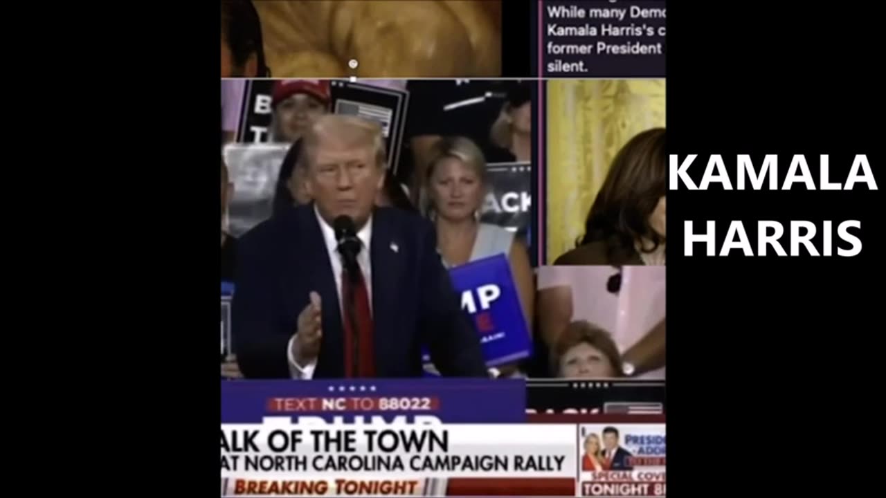 The Next Big Media Lie/ Hoax (Donald Trump vs Kamala Harris)