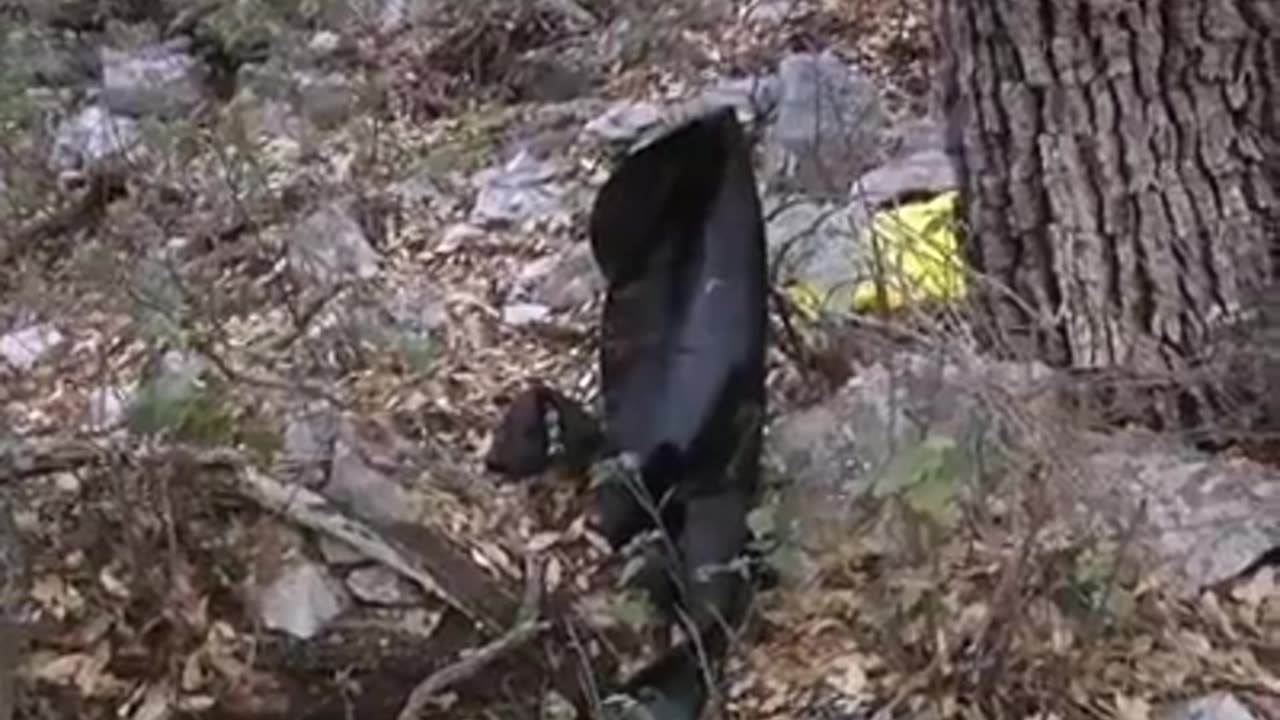 Imágenes Gráficas Nuevo video de los restos del Avión De Jenni Rivera