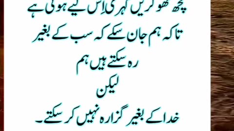 Urdu quotes Golden worlds #shots#shotsfeed#virl