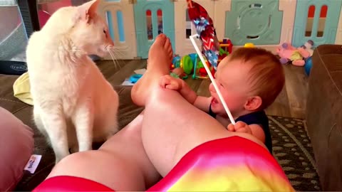 Cute Cats React Happy On The Children's Very Beautiful Video