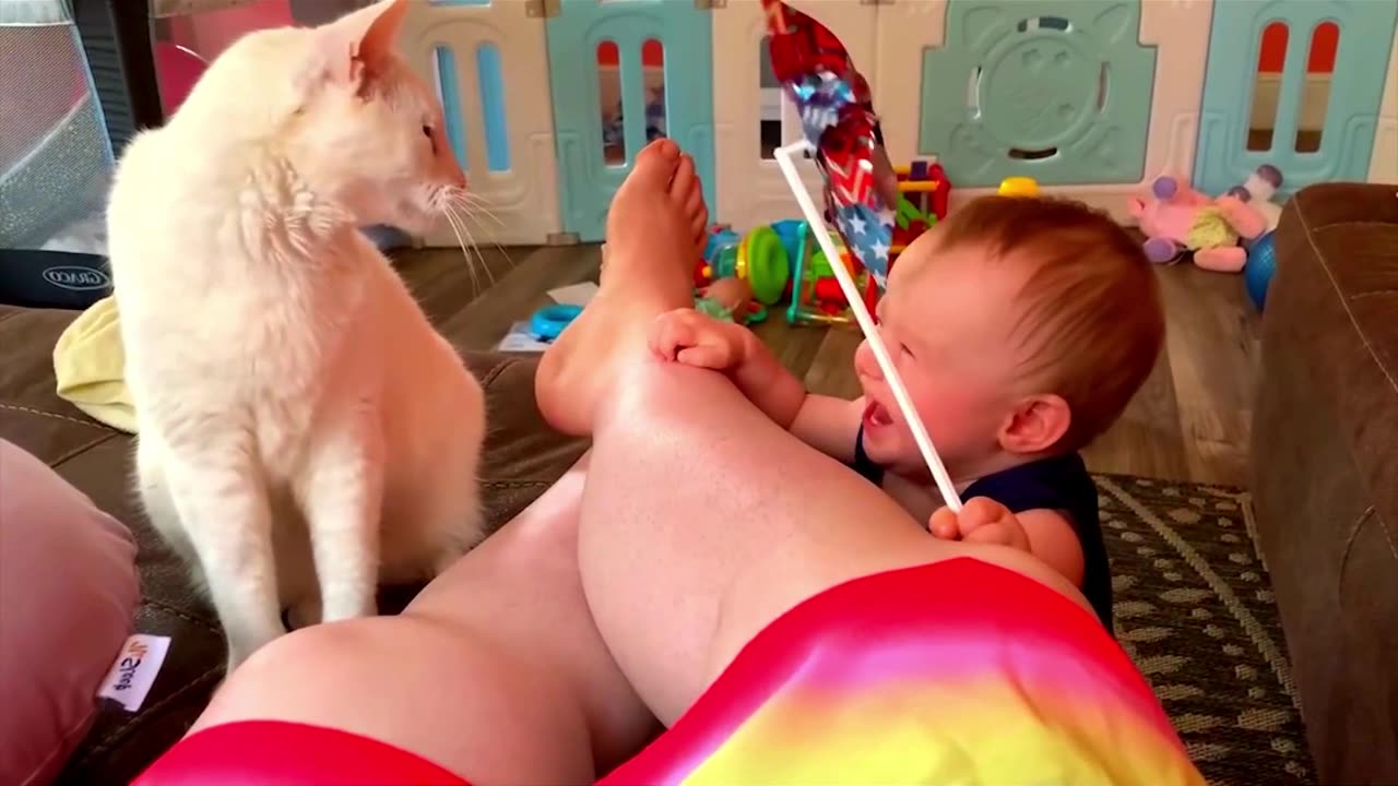 Cute Cats React Happy On The Children's Very Beautiful Video