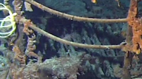 A Twist of Fate: How Missing the Titanic Altered My Destiny