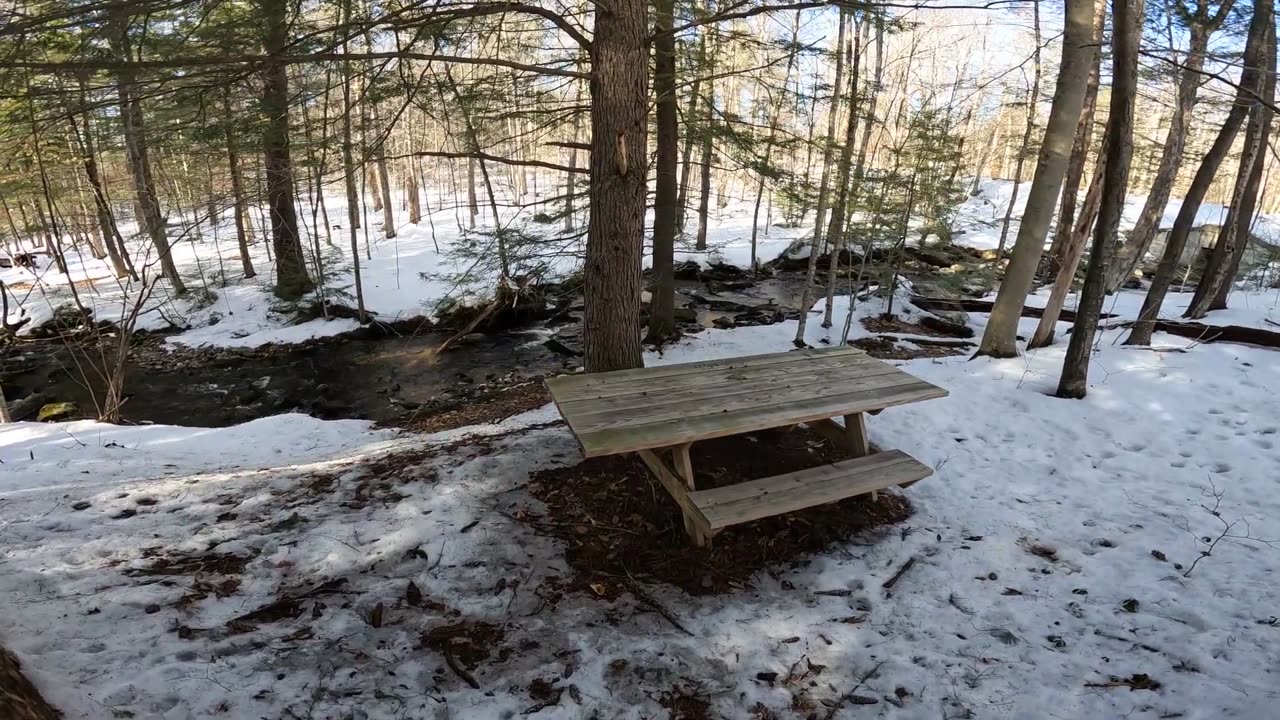 Picnic Table