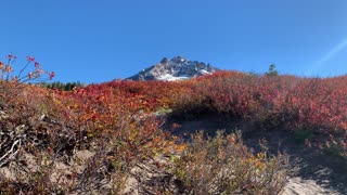 Oregon – Mount Hood – The Warm Colors of Fall – 4K