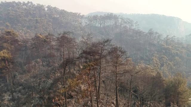 Drone footage shows wildfire destruction in Turkey