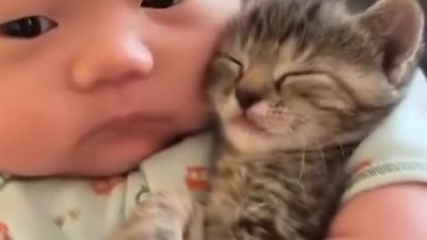 kitten being separated by baby