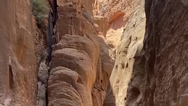THIS IS A SIGN YOU SHOULD GO TO PETRA 🇯🇴