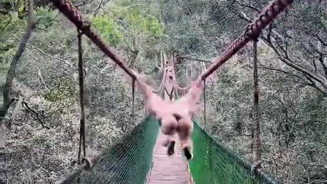 This was a crazy moment caught oncamera