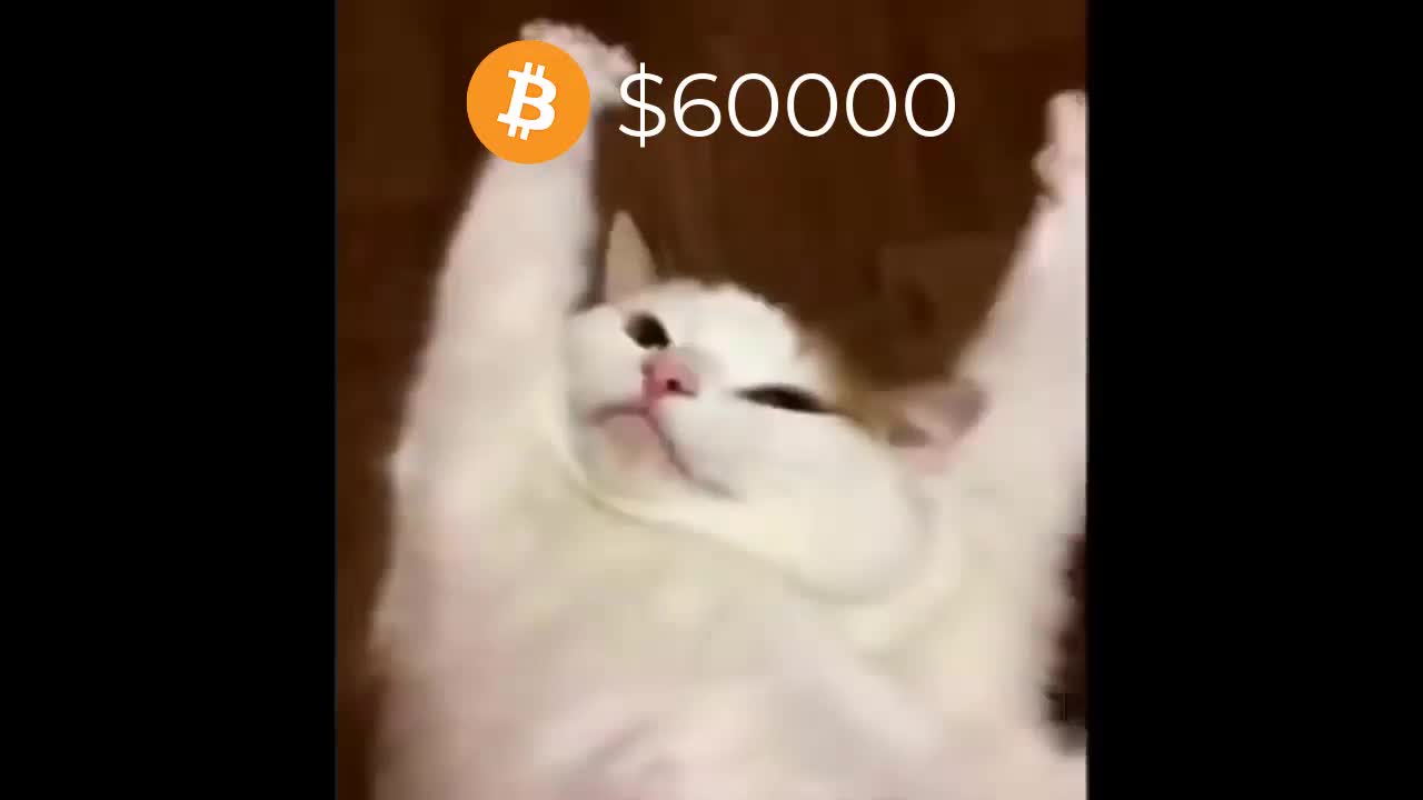 Bitcoin 60000