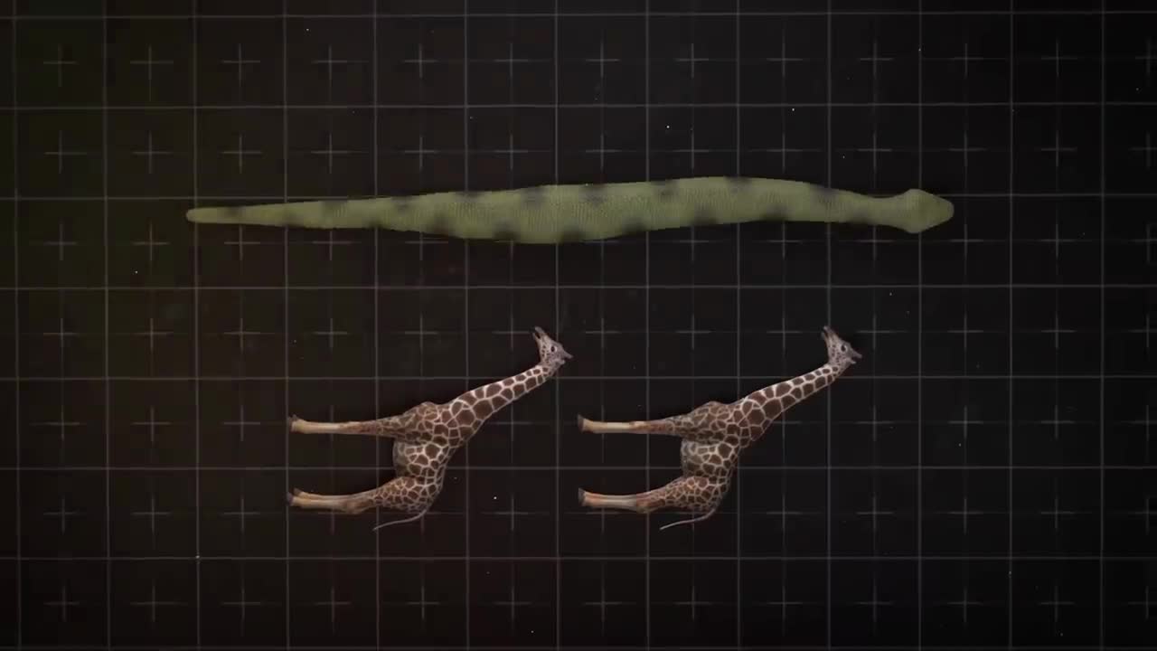 What If Titanoboa Snake Didn't Go Extinct?7