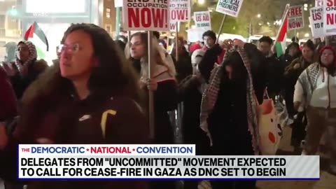 Pro-Palestinian protesters plan to march on DNC