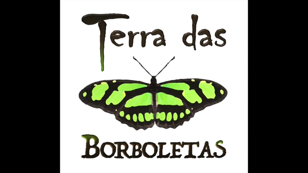 Conheça a borboleta das canelas