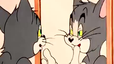 tomandjerry