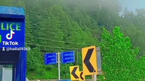 Muree