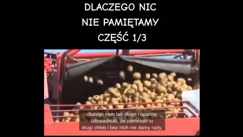 Dlaczego nic nie pamiętamy